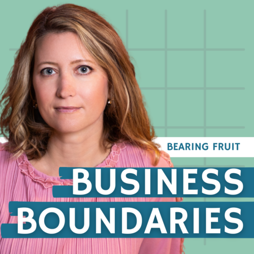 Business Boundaries