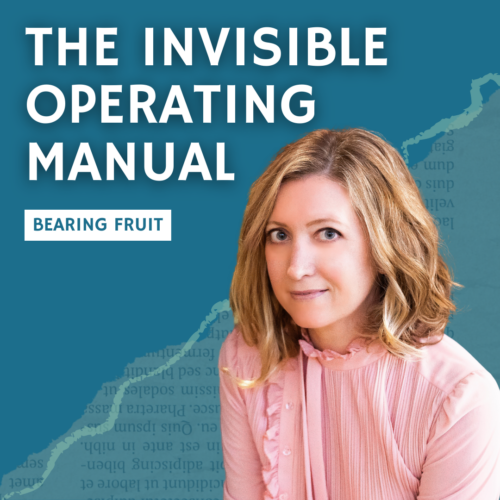 The Invisible Operating Manual
