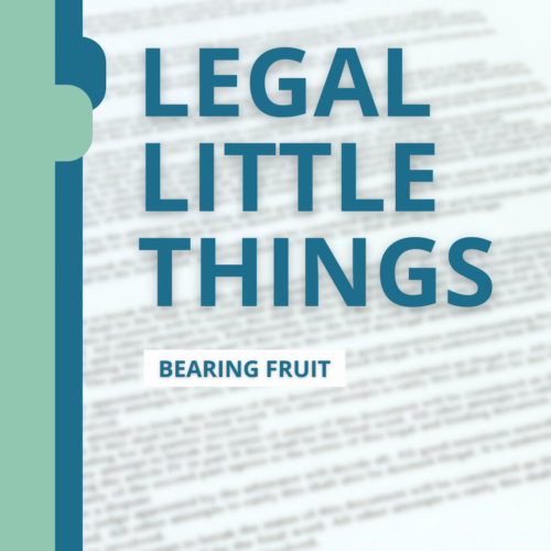 Little Legal Things